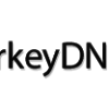 Turkey DNS Forum Confirmed For January 2016 turkey-dns-forum-logo
