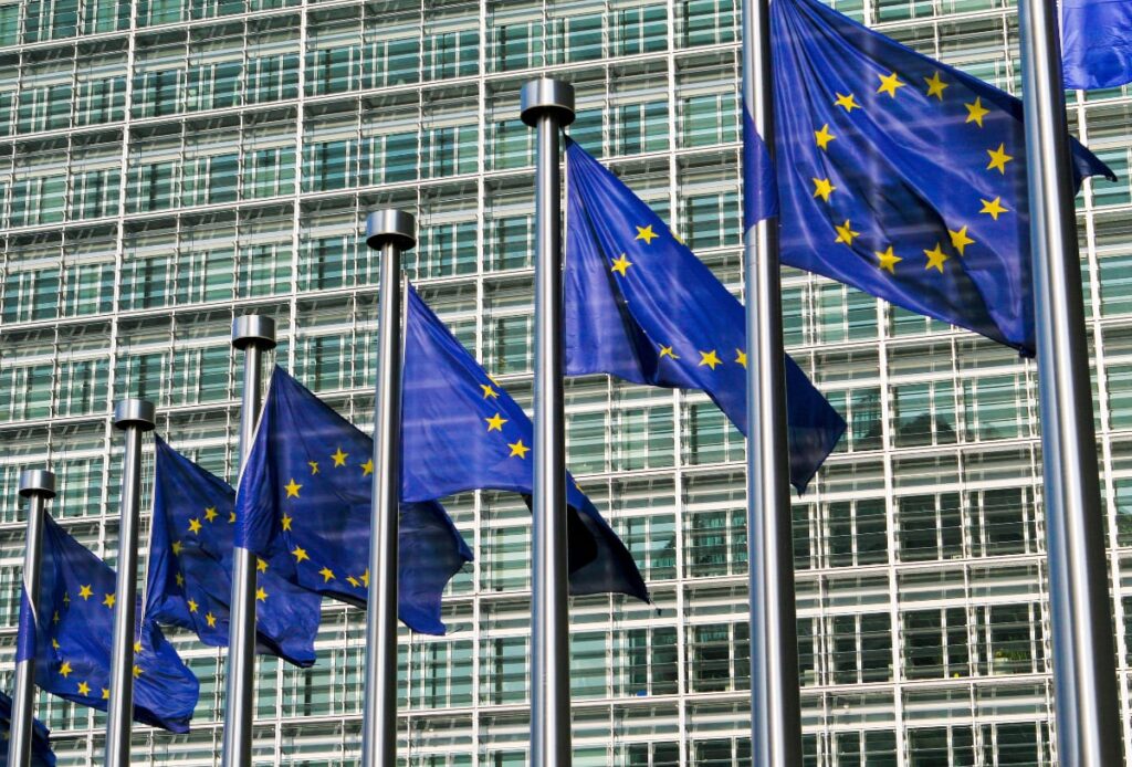 EU flags